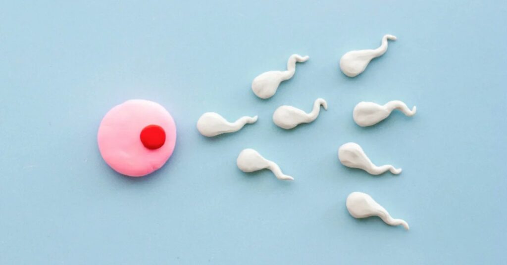 【研究】男性は「彼女が浮気してる」と疑うほど、精子が濃くなると判明！　NTR好きには科学的な意味があるかも